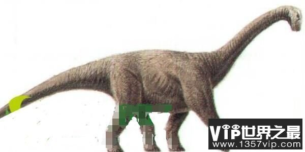 阿根廷大型食草恐龙：博纳巨龙，体长12米，生活在晚白垩世