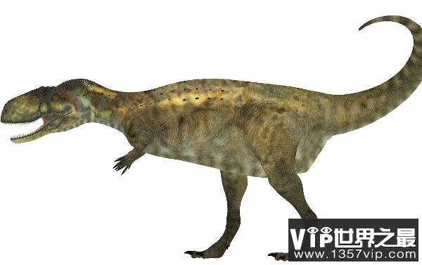 阿贝力龙(Abelisaurus)：体长7至9米的阿根廷大型食肉恐龙