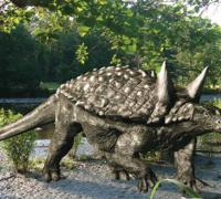 天池龙(Tianchisaurus)：带有尾锤的新疆小型食草恐龙