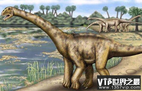 门多萨龙：大型蜥脚类恐龙，体长25米，全身覆盖鳞甲