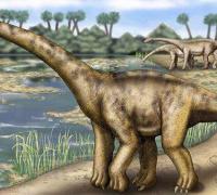 门多萨龙：大型蜥脚类恐龙，体长25米，全身覆盖鳞甲