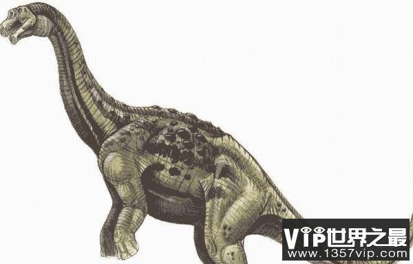 风神龙(Aeolosaurus)：长15米的巨型食草恐龙