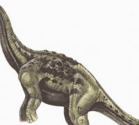 风神龙(Aeolosaurus)：长15米的巨型食草恐龙