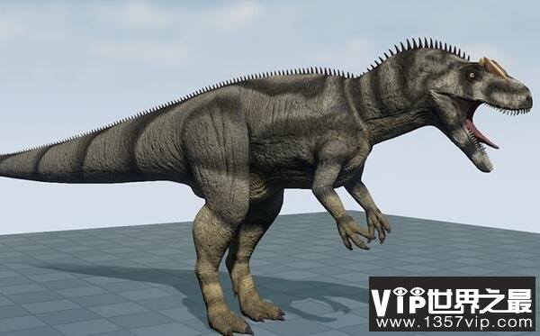 食蜥王龙：北美洲巨型食肉恐龙（长14米/兽脚亚目食肉恐龙）