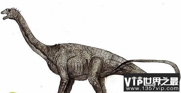 秦岭龙：中国大型食草恐龙（长20米/距今6500万年）