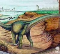 安第斯龙：阿根廷超巨型恐龙（长40米/安地斯山脉的蜥蜴）