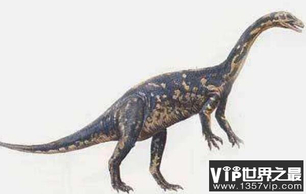 皮萨诺龙（Pisanosaurus）：体长1米的小型食草恐龙