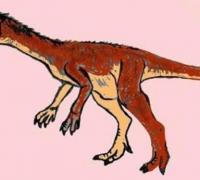 滥食龙（Panphagia）：中三叠世小型杂食恐龙，化石仅部分骨骼
