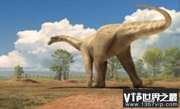 苏莱曼龙：亚洲超巨型恐龙，体长25米（巨型食草恐龙）