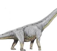 柏利连尼龙（Pellegrinisaurus）：体长25米的阿根廷巨型恐龙