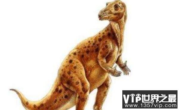 鼠龙Mussaurus：最古老体型最小的蜥脚类恐龙
