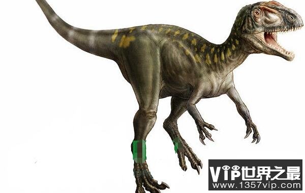 神鹰盗龙(Condorraptor)：长5米的阿根廷大型食肉恐龙