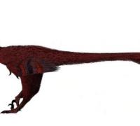 佛舞龙：亚洲小型恐龙（体长不足1米/白垩纪早期恐龙）