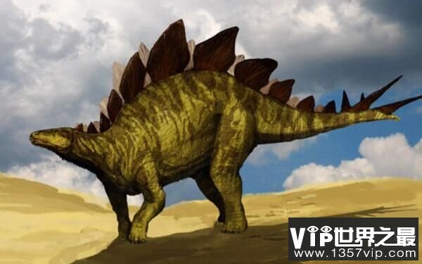 剑龙：北美洲大型食草恐龙，体长达9米，身上尖板像宝剑