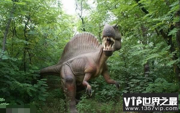 暹罗龙：亚洲大型食肉恐龙，体长达9.1米(距今1亿年前)