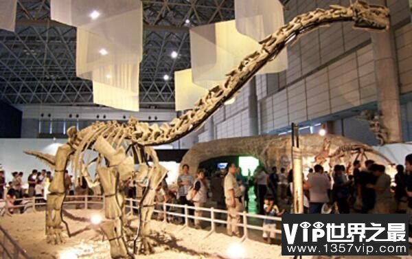 苏尼特龙：亚洲大型食草恐龙，体长达9米，6500万年前灭绝