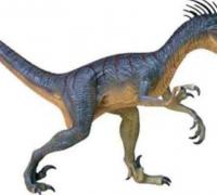 桑塔纳盗龙：南美洲小型食肉恐龙，体长2米（早白垩世恐龙）
