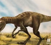 南十字龙：地球上最早的恐龙，一种距今2.25亿年前的恐龙
