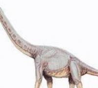 索诺拉龙：北美洲巨型恐龙（长17米/以沙漠命名的恐龙）