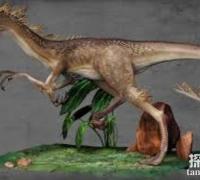 太阳神龙：北美洲小型食肉恐龙（长2米/晚三叠世恐龙）