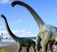 草原龙：大洋洲巨型恐龙（长15米/体重18吨）