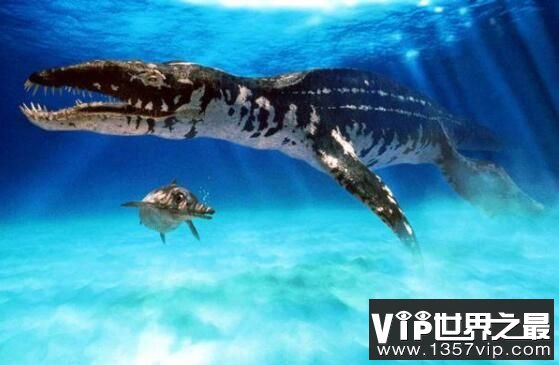 海洋十大霸主排名，终极海怪沧龙排第一(绞杀翼龙)