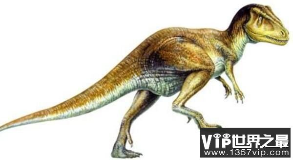灵龙：奔跑健将小型食草恐龙，体长1.7米，四川出土