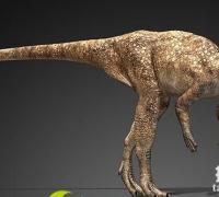 灵龙：奔跑健将小型食草恐龙，体长1.7米，四川出土