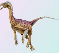 似鸸鹋龙：小型似鸟恐龙，恐龙中的奔跑冠军(时速65公里)