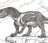 宣汉龙：唯一四足行走的大型食肉恐龙（体长6米/四川出土）