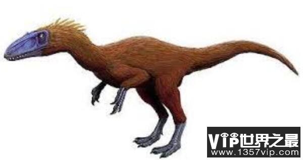 吐谷鲁龙：两足行走的食肉恐龙（长3米/发现于准噶尔盆地）