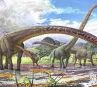 世界上脖子最长的恐龙：马门溪龙，脖子长13米，长过腕龙