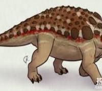 剑节龙：体长3米的小型食草恐龙，以剑龙的外形命名
