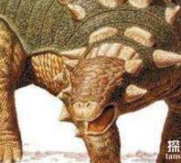 欧洲小型食草恐龙：窃肉龙（体长3米/侏罗纪中期恐龙）