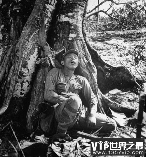 【日本的武士道精神纯属胡扯】最后一秒想到的也是活命