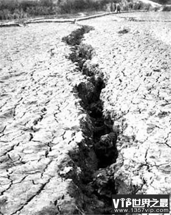 【云南通海大地震为什么保密】很少有人知道的通海大地震究竟死了多少人
