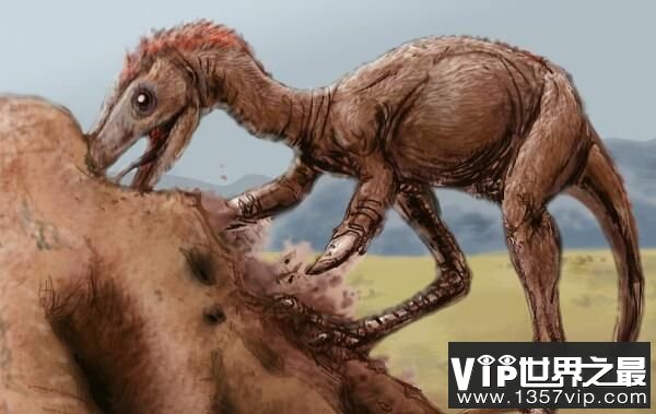阿瓦拉慈龙：外形似鸟的恐龙，体长2米，快速奔跑的恐龙