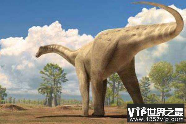 巴基龙：泰坦巨龙类恐龙，蜥脚类恐龙中最大最重的恐龙