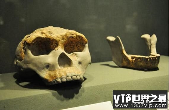 蓝田人遗迹距今80万年，最早人类并不是他