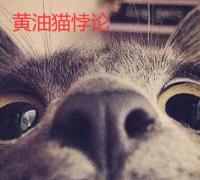 什么是黄油猫悖论，解密永动猫不存在的真相