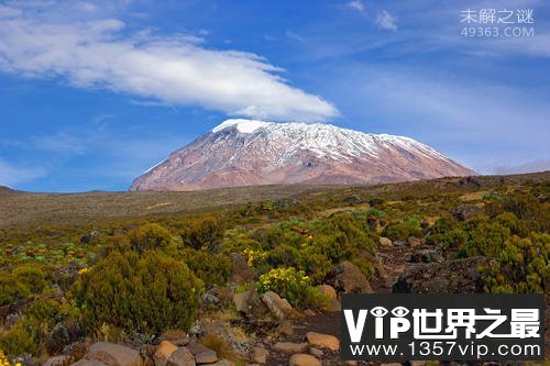 非洲最高峰乞力马扎罗山,山上山下温差达90摄氏度