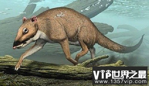 全球十大史前巨兽：史前巨蟒活吞史前巨鳄
