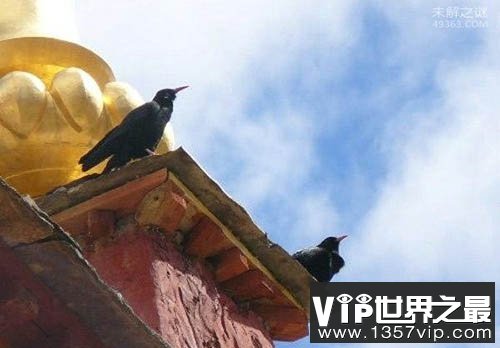 五个邪门得让人背心发凉地方,晚上敢出门吗?