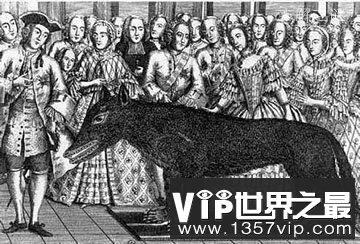 热沃当怪兽为什么专门攻击人类，还曾杀死200多人