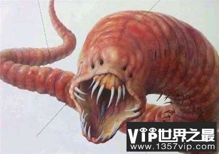 探秘全球十大神秘怪兽