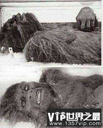 探秘全球十大神秘怪兽