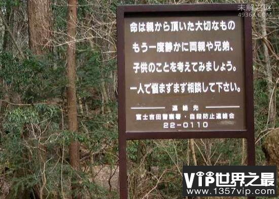 日本自杀森林,为什么都选择在这里结束生命？