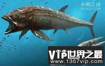 龙王鲸才是海洋霸主,灭绝的远古海洋巨兽