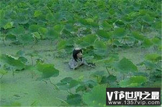 世界八大怪异生物，竟然隐居在现实世界之中！