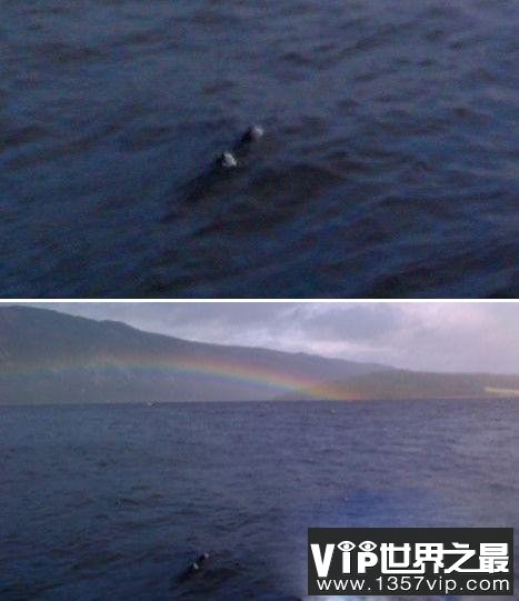 全球神秘水怪盘点,西伯利亚惊绒毛巨兽是猛犸象吗？